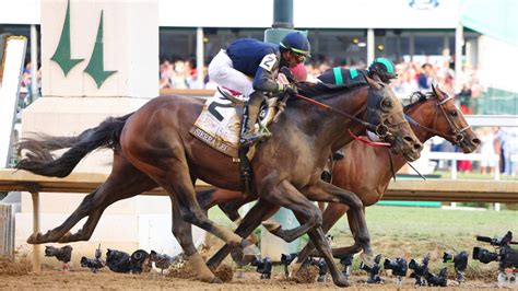 belmont stakes winning odds